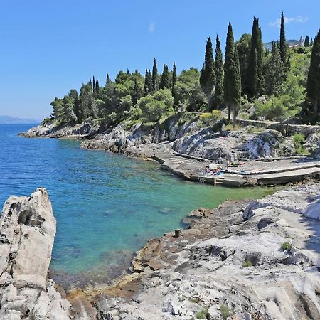 Apartments By The Sea Trpanj, Peljesac - 257 Dış mekan fotoğraf